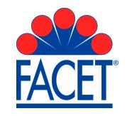 SUBFAMILIA DE FACET  FACET