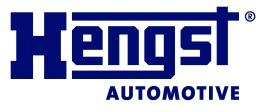 FAMILIA HENGS SUBFAMILIA *  HENGS